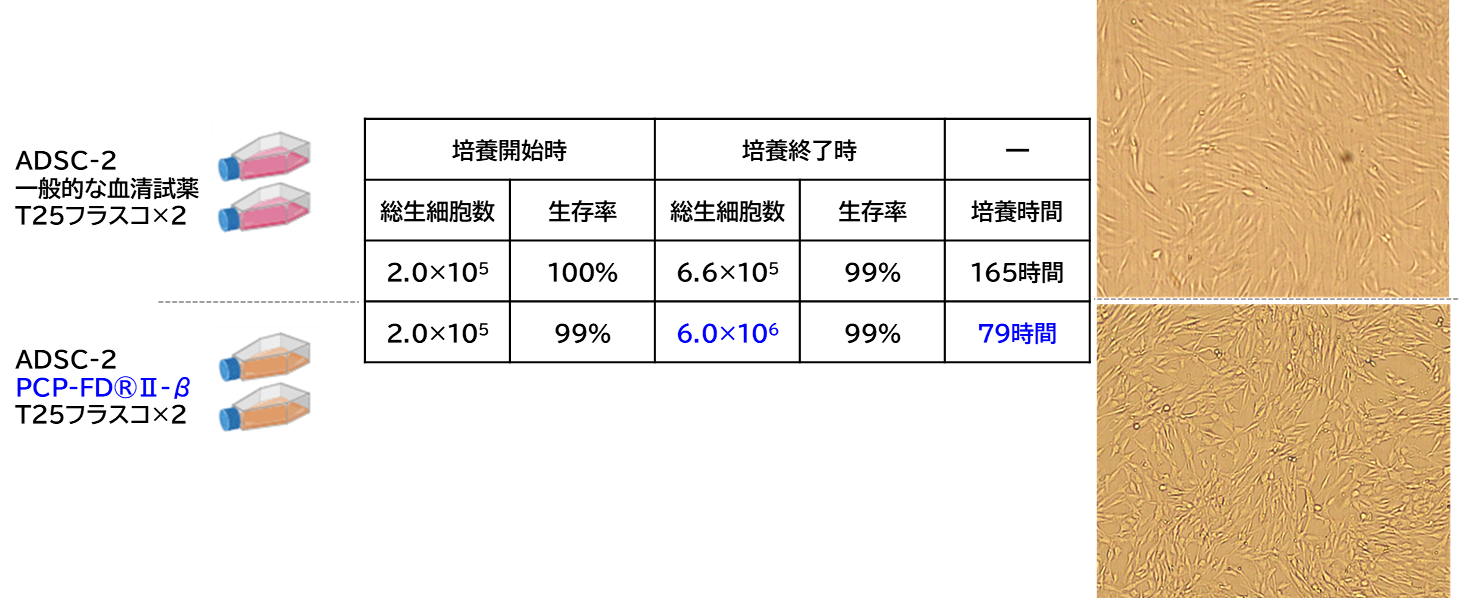 PCP-FD®Ⅱ-βを代替血清とした場合の脂肪由来間葉系間質幹細胞の増殖能比較