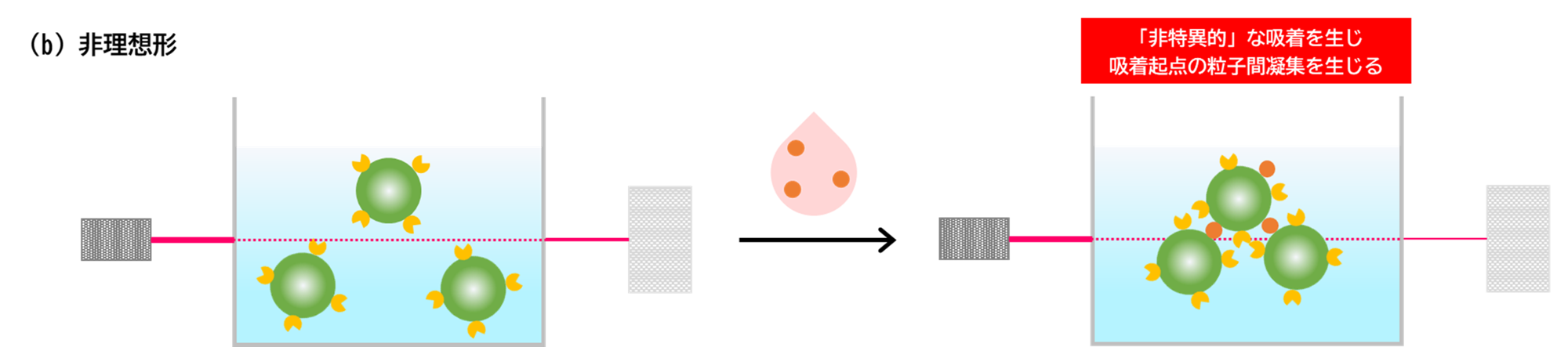 診断薬｜ラテックス凝集法｜ネガティブな模式図